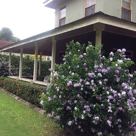 The Inn At 6 Kingston Exterior foto